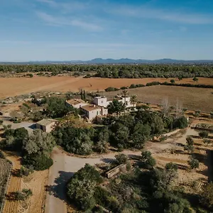 3* Hotel Es Llobets - Adults Only